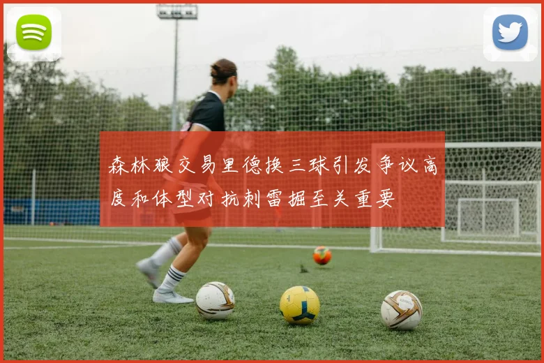 森林狼交易里德换三球引发争议高度和体型对抗刺雷掘至关重要
